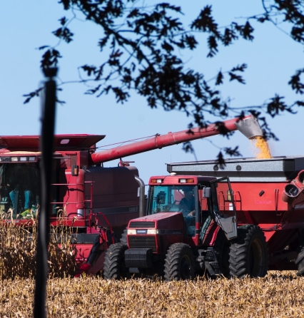 Corn Harvest